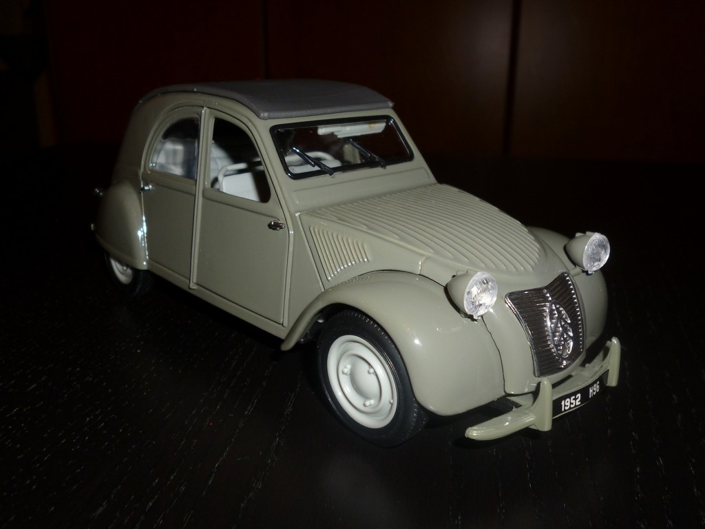 P1010099.jpg