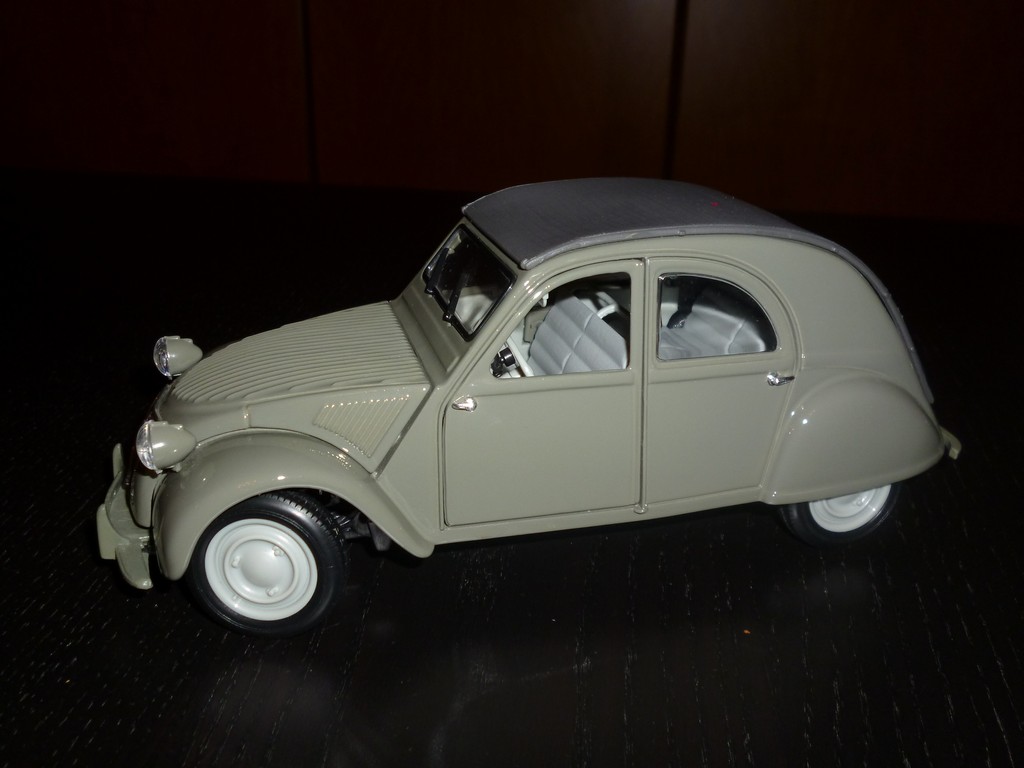 P1010101.jpg