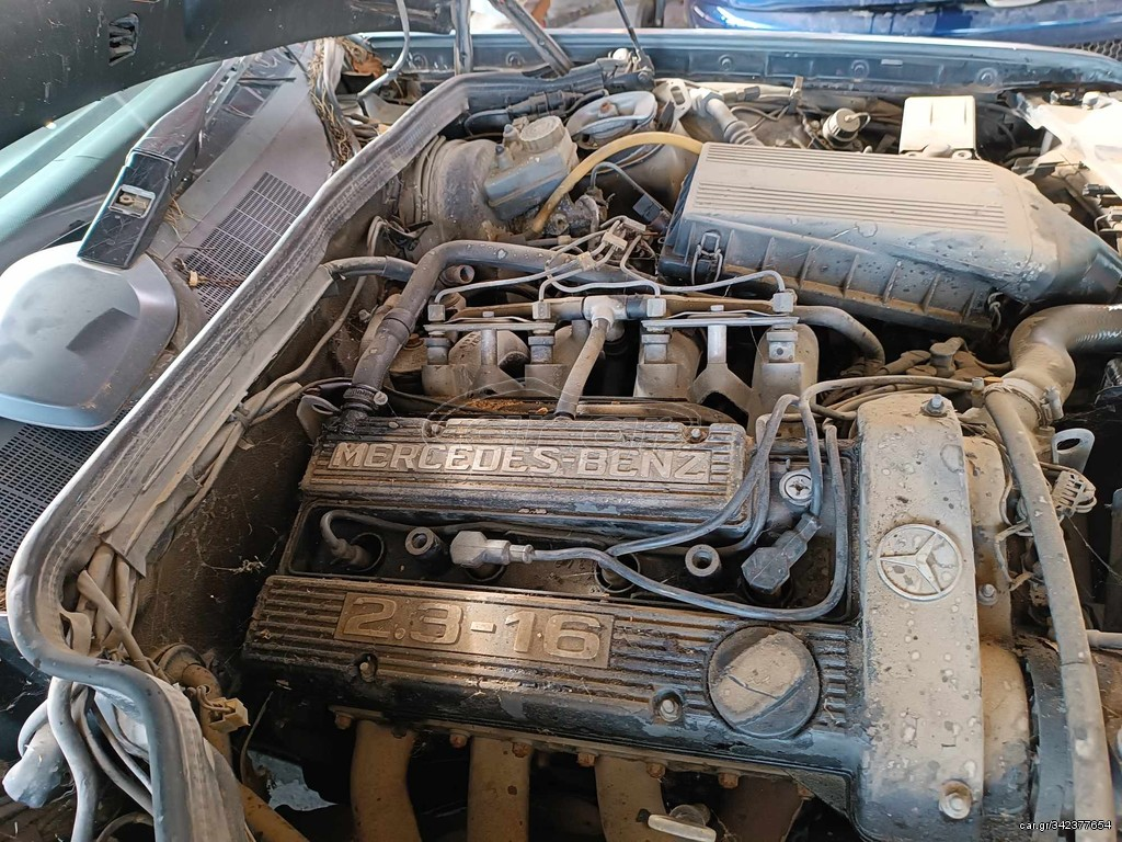 33826