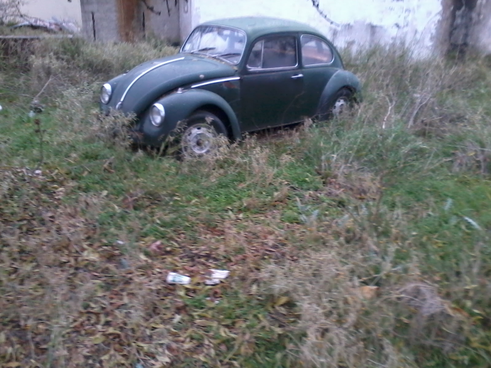 2013-12-31 10.14.23.jpg