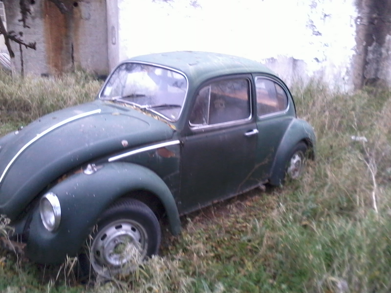 2013-12-31 10.14.27.jpg