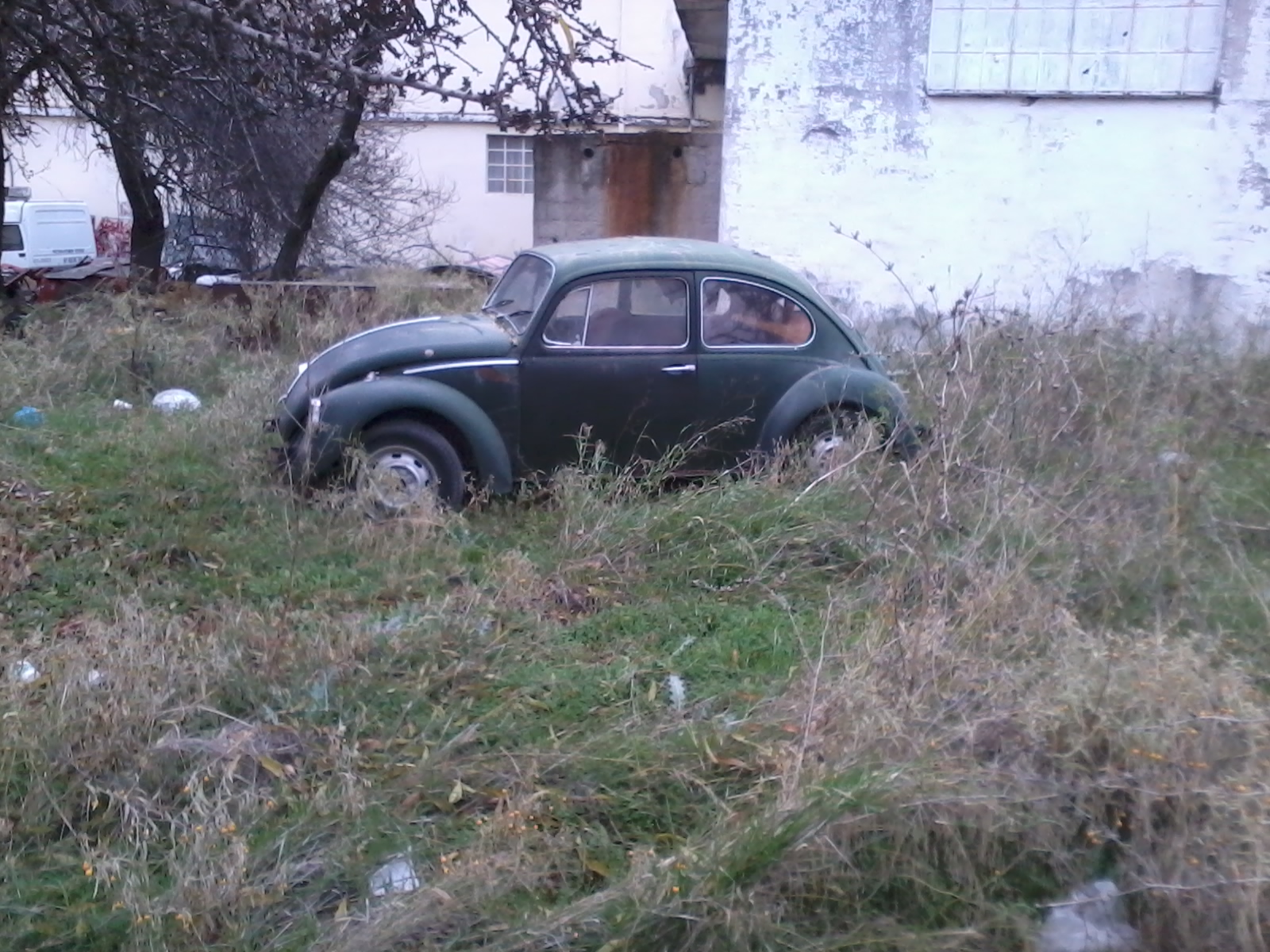 2013-12-31 10.14.59.jpg