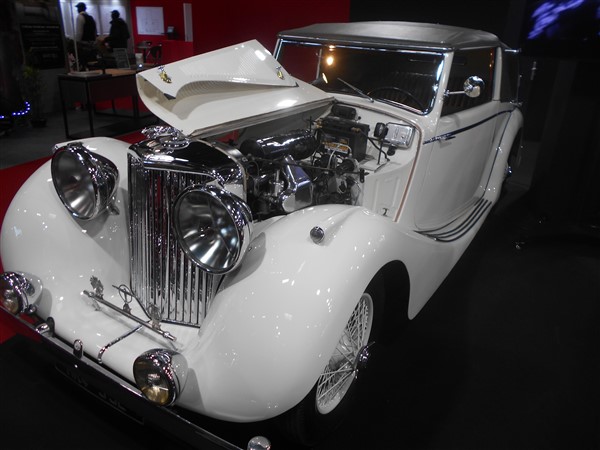 19295